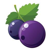 Two purple berries with leaves on a white background vector