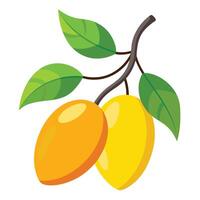 Two mangoes on a branch with leaves vector