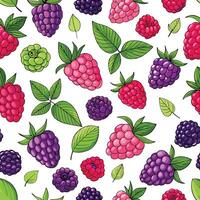 Seamless pattern with raspberries and leaves vector