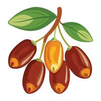 A bunch of nuts and leaves on a branch vector