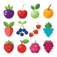 Various fruits and berries on a white background vector