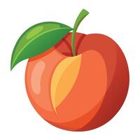 An orange peach fruit with a leaf on it vector