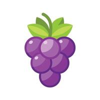 Grapes icon illustration vector
