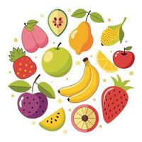 A colorful fruit arrangement in a circle vector