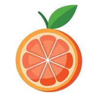 An orange slice with a green leaf on it vector