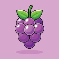 A purple grape with leaves on it vector