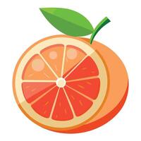 An orange slice with a leaf on it vector