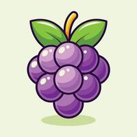 A purple grape with leaves on it vector