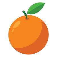 An orange is shown on a white background vector
