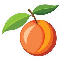 An orange fruit with leaves on it vector