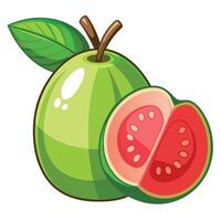 A green guava fruit with a slice cut out of it vector