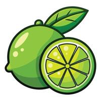 A lime with a slice and a leaf vector