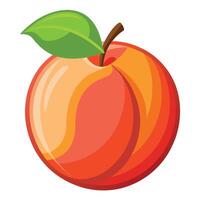 An orange peach fruit with a leaf on it vector
