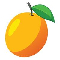 An orange with a leaf on it vector