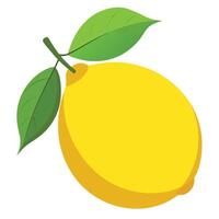 A lemon with green leaves is shown on a white background vector