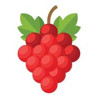 Red grape fruit illustration vector