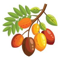 A branch with fruit and leaves on it vector