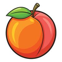 A peach fruit with a green leaf on it vector