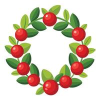 A wreath of red berries on a white background vector