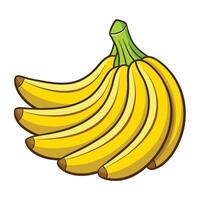 A bunch of bananas on a white background vector