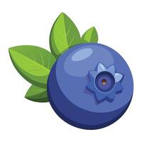 Blueberry fruit icon illustration vector