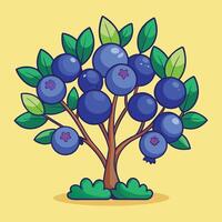 Blueberry tree with berries on a yellow background vector