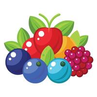 A bunch of berries and berries on a white background vector