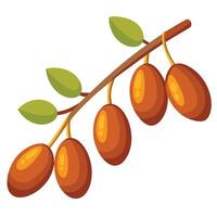 A branch with fruit on it vector