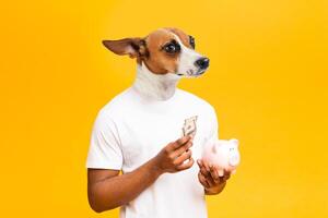 A man with the head of a dog holds a piggy bank and some cash in his hands while looking to the left. He is wearing a white t-shirt and standing in front of a bright yellow background. photo