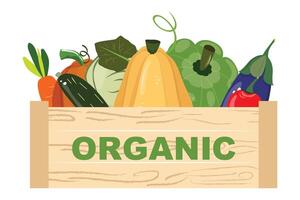 Organic wooden crate packed with fresh farm vegetables cabbage, tomatoes and more vector