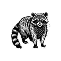 Raccoon Silhouette- Editable on white background Perfect for Any Project vector