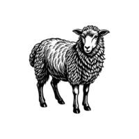 Sheep Silhouette- Editable on white background Perfect for Any Project vector