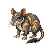 Color Shrew- Editable on white Background Perfect for Any Project vector