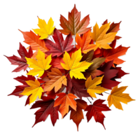 Realistic Pile of Fall Leaves in Shades of Orange, Red, and Yellow- High-Resolution png