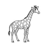 Giraffe Outline- Editable on white background Perfect for Any Project vector