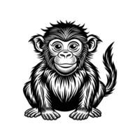 Monkey Silhouette- Editable on white background Perfect for Any Project vector