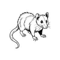 Opossum Outline- Editable on white background Perfect for Any Project vector