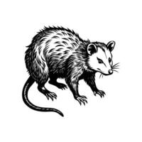 Opossum Silhouette- Editable on white background Perfect for Any Project vector