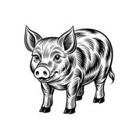 Pig Silhouette- Editable on white background Perfect for Any Project vector