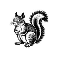 Squirrel Silhouette- Editable on white background Perfect for Any Project vector