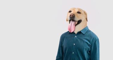 A playful representation features a dog head seamlessly blended with a human body dressed in a button-up shirt. The figure stands upright, exuding joy with its tongue out and a cheerful demeanor. photo