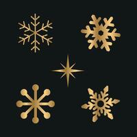 Set of golden snowflakes on a black background. graphics vector