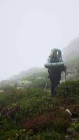 Solo Hiker with Backpack Navigating Misty Mountain Trail Surrounded by Lush Greenery in Remote Wilderness video