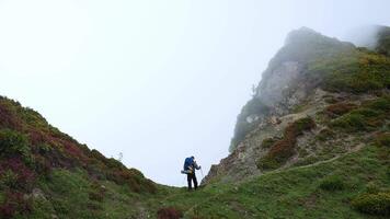 Hiker in Blue Jacket Traversing a Foggy Mountain Pathway Surrounded by Rugged Cliffs and Lush Vegetation video