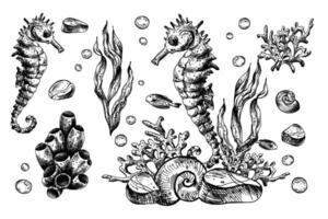Underwater world clipart with sea animals seahorse, starfish, shells, coral and algae. Graphic illustration hand drawn in black ink. Set of isolated objects EPS . vector