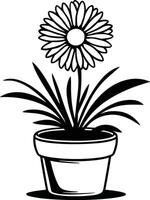 Flower pot with daisy in it coloring page vector
