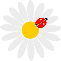 A ladybug on a daisy with a yellow center vector