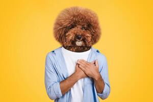 A person stands confidently, with their hands clasped over their chest, sporting a fluffy dog head. The bright yellow background enhances the playful atmosphere of this imaginative representation photo