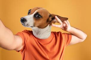 A man wearing an orange t-shirt takes a selfie in front of a yellow background, with the head of a dog superimposed over his own. The dog head is tilted, with one ear flopped down photo