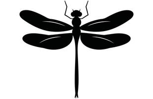 Dragonfly Silhouette in Black Isolated on White Background. vector
